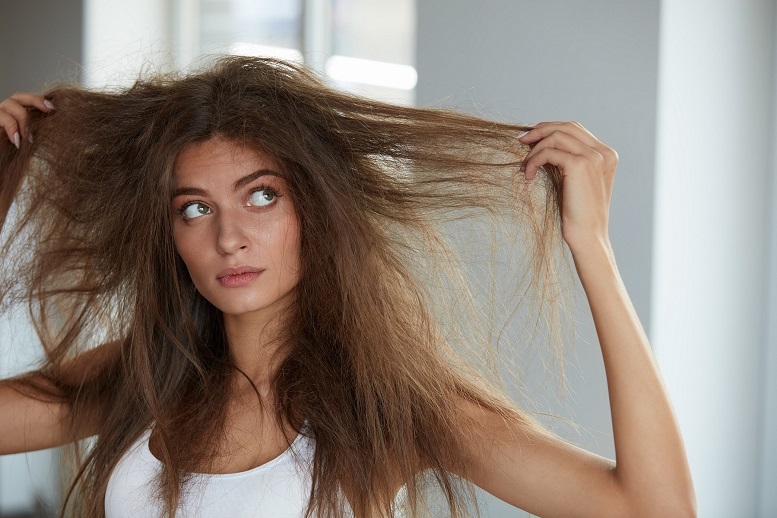 Dry, Normal or Oily Hair? How to Define Hair Type & Choose the Right  Products?